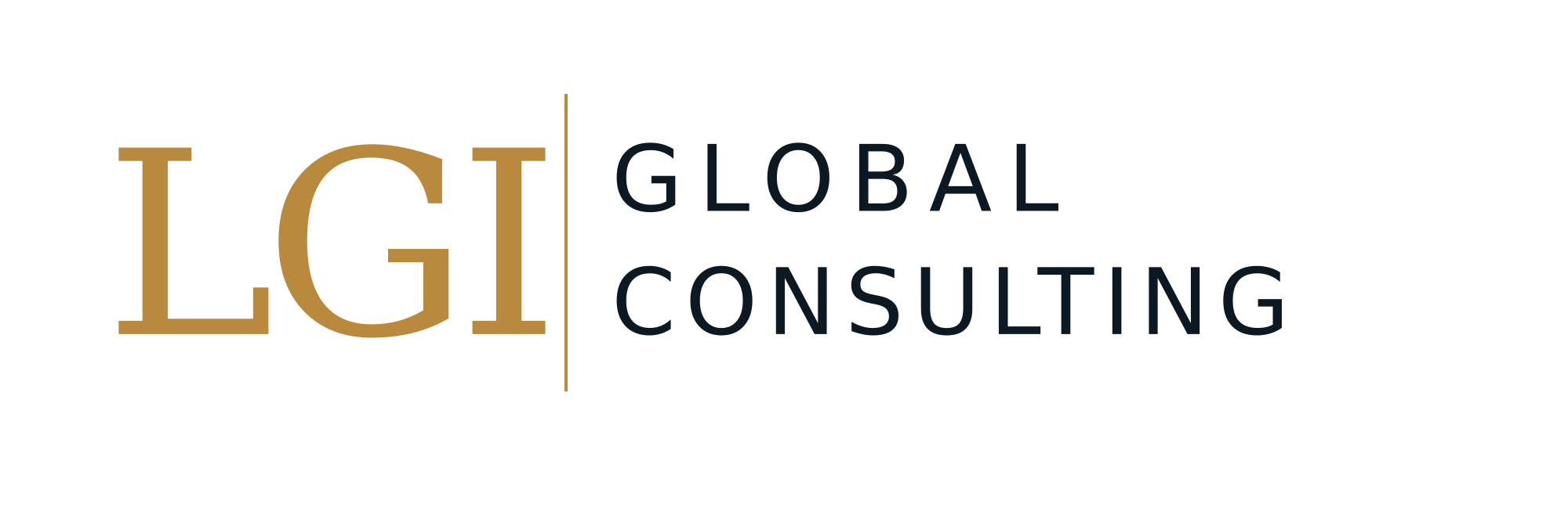 LGI Global Consulting